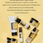 COSRX All about snail kit