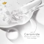 DOVE Shampoo Price in Bangladesh