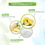 Mamaearth Anti-Dandruff Shampoo Mamaearth Anti-Dandruff Shampoo