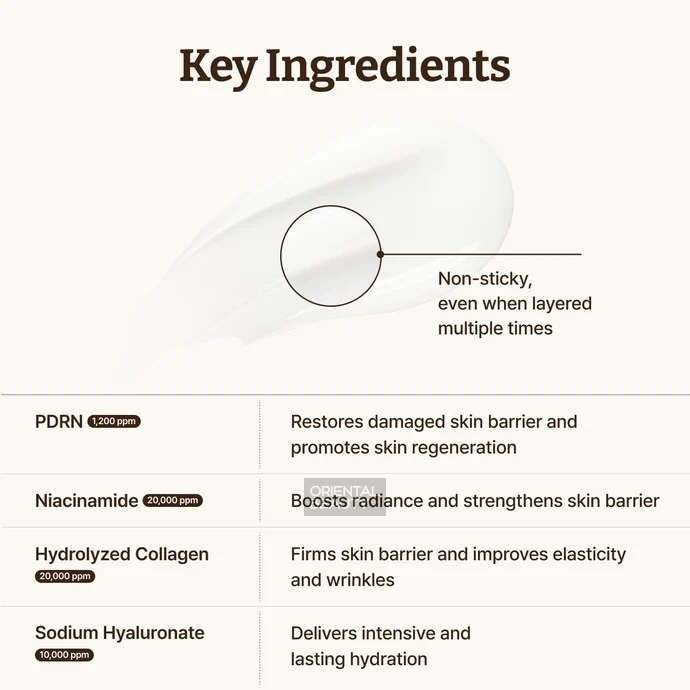 Dr. Reju-All Advanced PDRN Rejuvenating Cream Key Ingredients Dr. Reju-All Advanced PDRN Rejuvenating Cream Key Ingredients