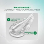 Garnier Acno Fight Cleanser