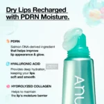Anua PDRN Lip Serum Key Ingredients