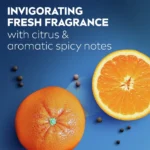 NIVEA Fresh Energy Shower Gel